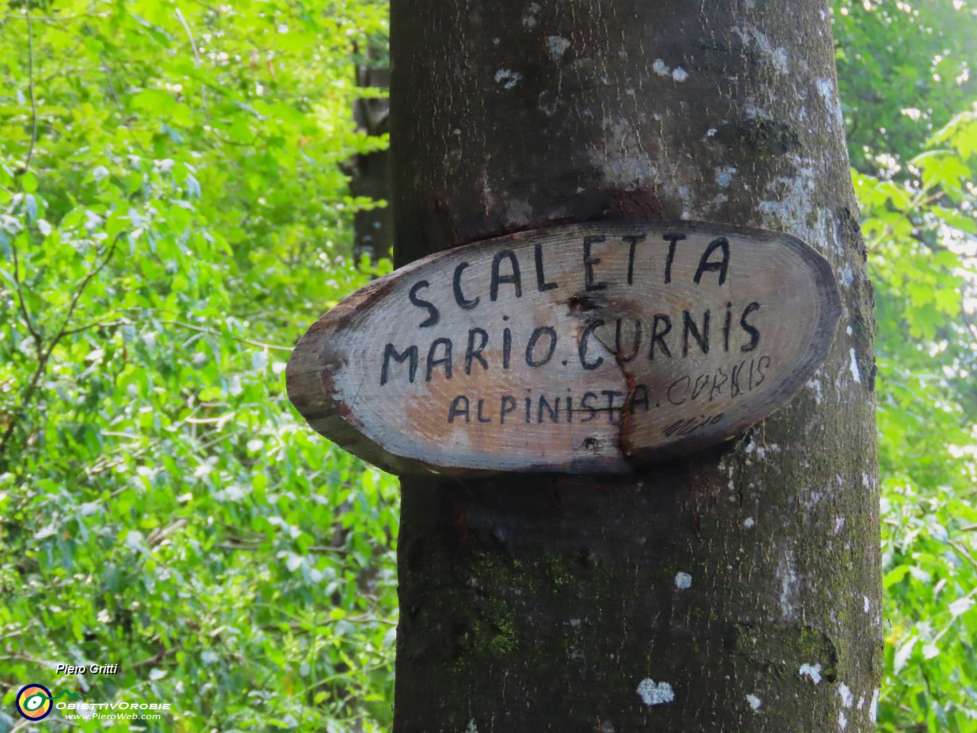 43 Saliamo in Cornagera dalla 'Scaletta Mario Curnis' , sentiero da poco aperto.JPG